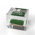 FIFA World Cup 2026™ Piece of the Pitch - Foundation Edition